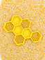 image (2).png